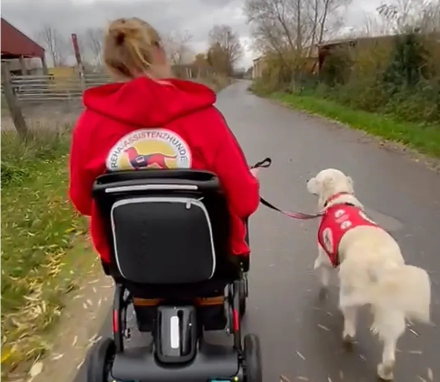 Never thought I'd need a wheelchair, but the Robooter powerchair exceeded my expectations. Its ease of use, lightweight design, and impressive 20-amp battery life make it a perfect fit. Easy to fold and charge, also the phone app is a game-changer.